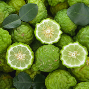 Bergamot