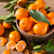 Mandalina